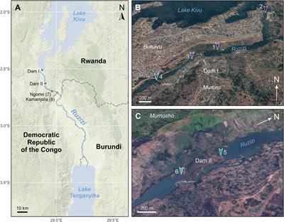 Family-Level Bio-Indication Does not Detect the Impacts of Dams on Macroinvertebrate Communities in a Low-Diversity Tropical River